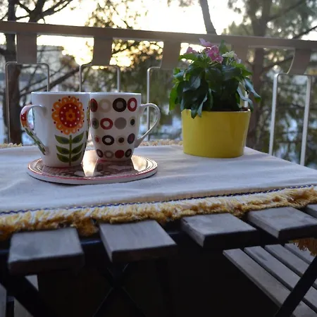 Casa Vacanze Amici Miei Апартаменты Ното